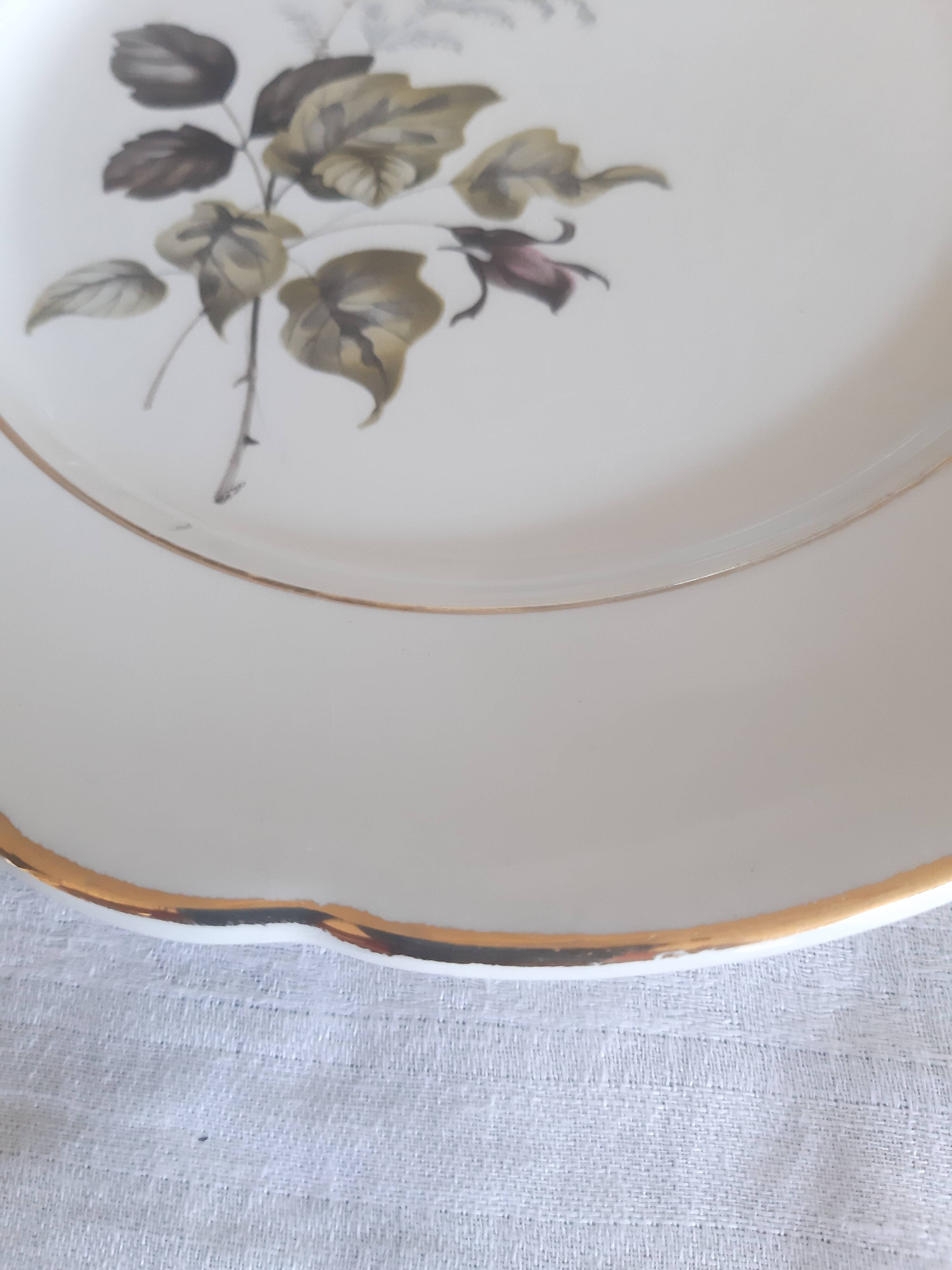 Flat plates Lunéville Badonvillier