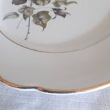 Flat plates Lunéville Badonvillier