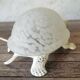 Turtle lamp