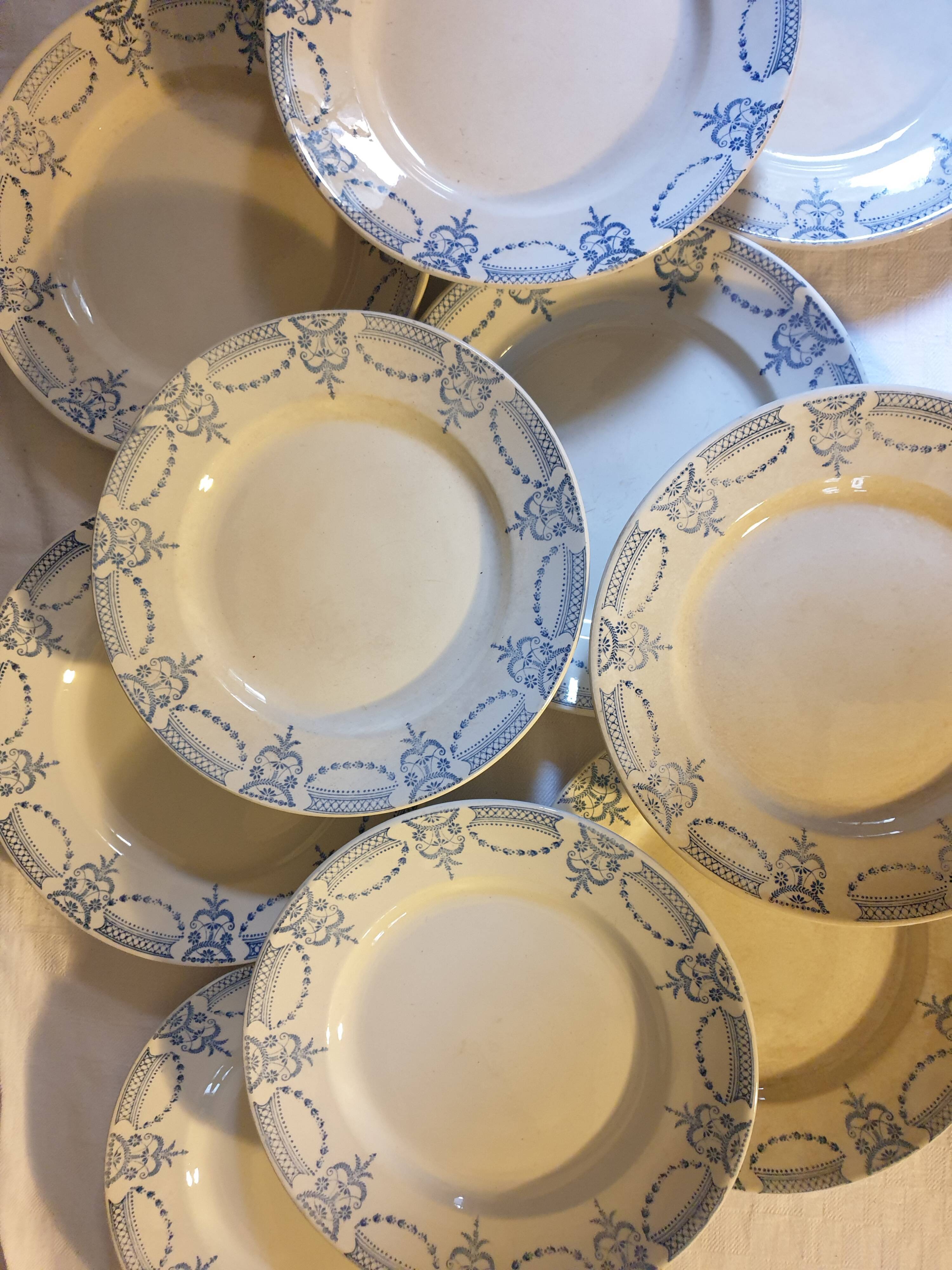 Suite of 11 flat plates iron earth