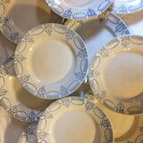 Suite of 11 flat plates iron earth