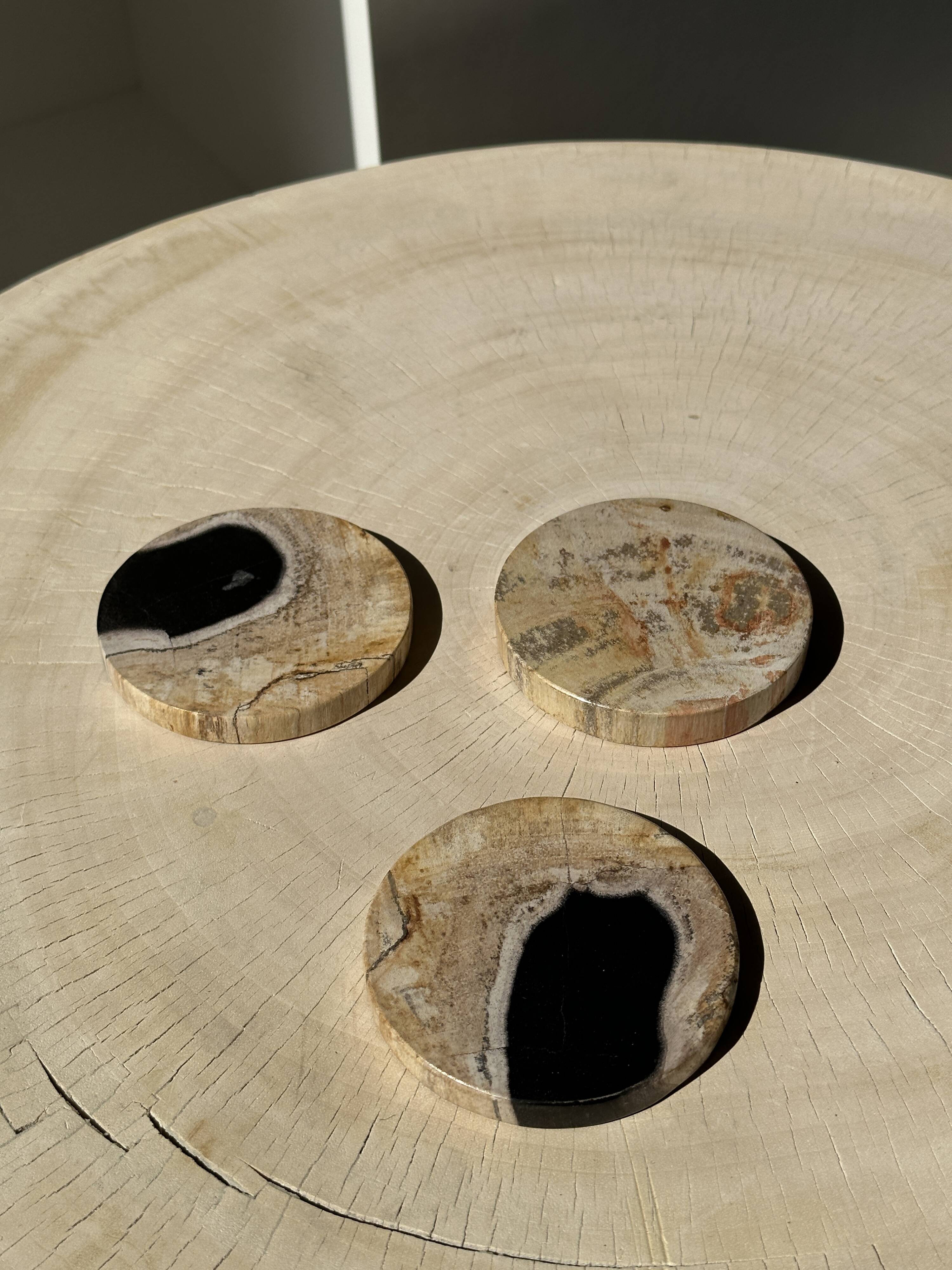 Set of 3 fossilized wood coasters (clear)