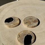 Set of 3 fossilized wood coasters (clear)