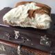 Cow and leather cushion 34x34cm