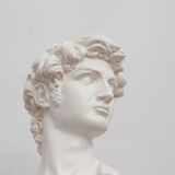 David head in white plaster