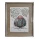 Illustration botanique
