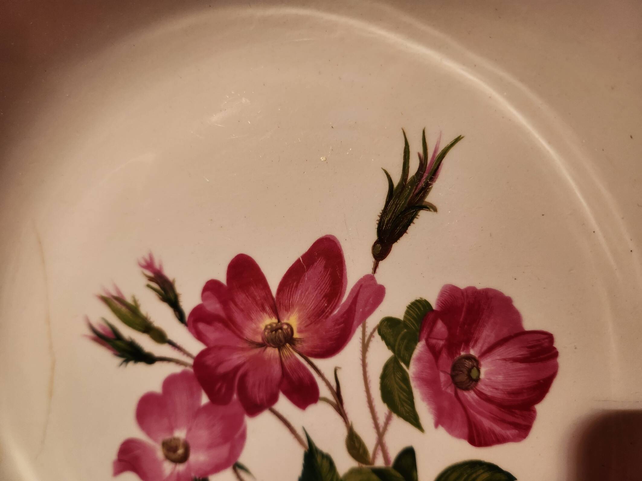 Shallow dish in Amandinoise earthenware