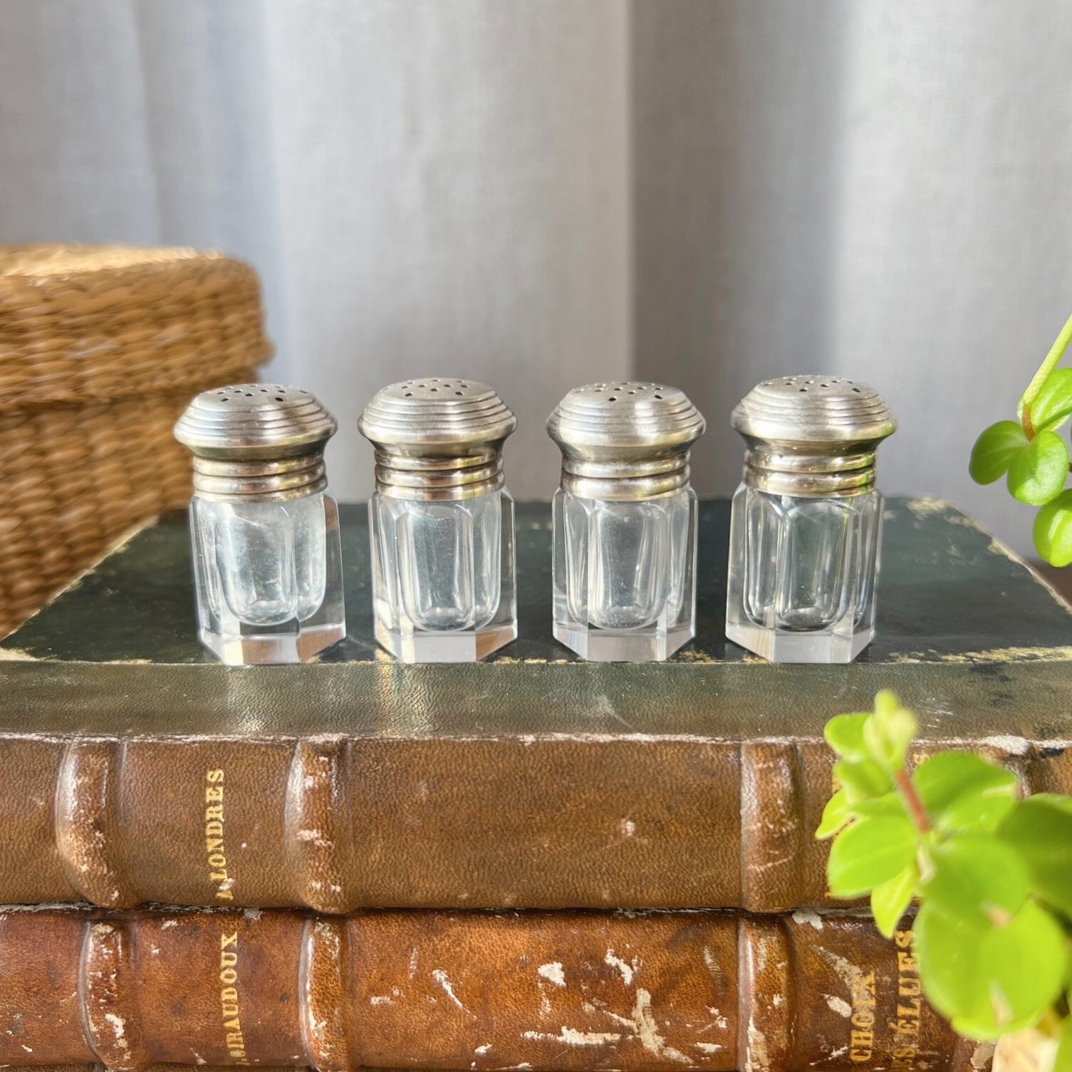 Suite of 4 individual salt shakers, silver & crystal