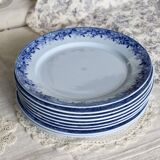 10 antique U&C Sarreguemines dinner plates - Mimosa model