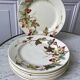 set of 8 dessert plates Terre de Fer Lunéville model Lier XIXth