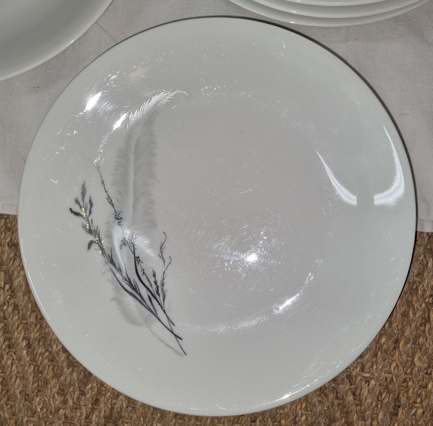 Fine porcelain plates from sologne, lamotte