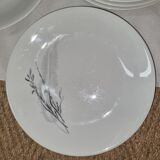 Fine porcelain plates from sologne, lamotte