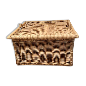 Wicker trunk