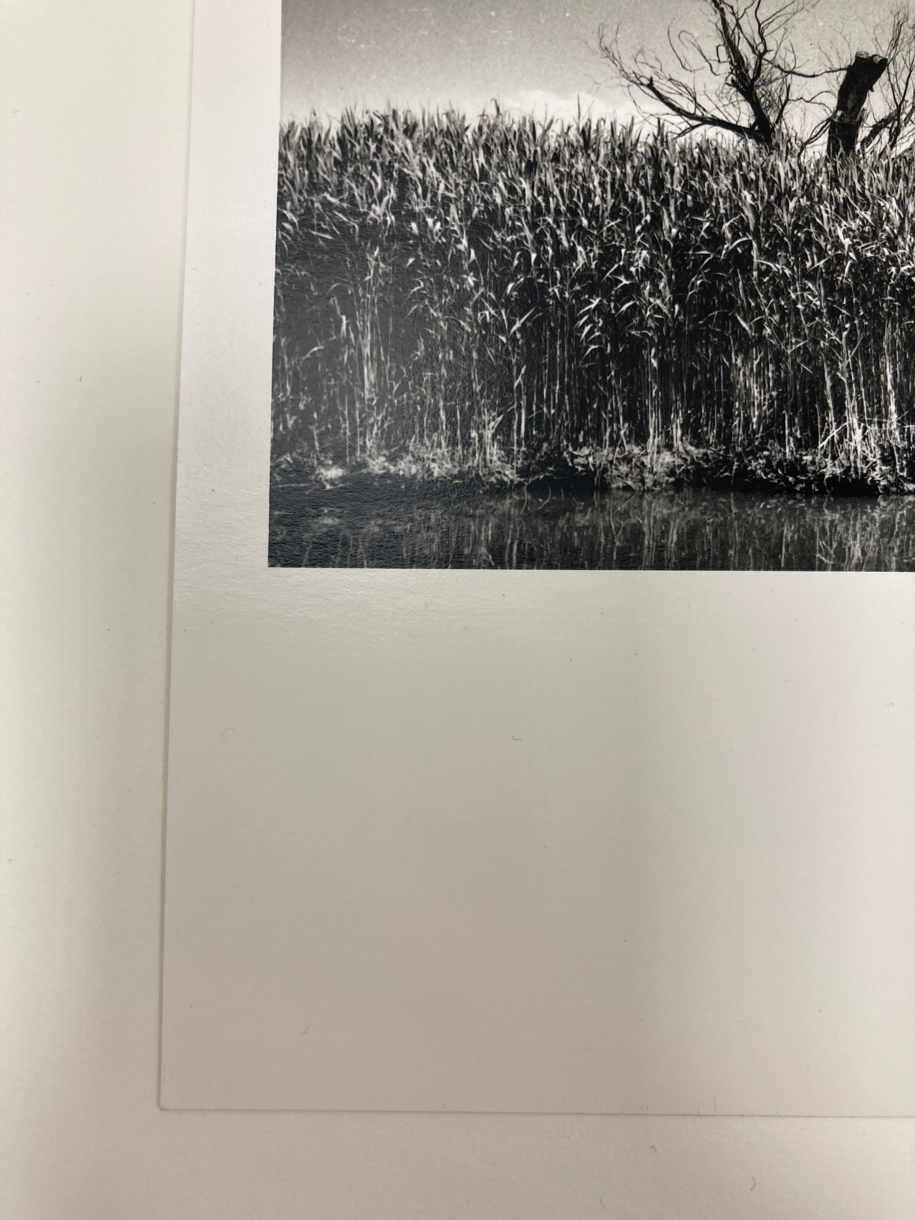 Film landscape photography