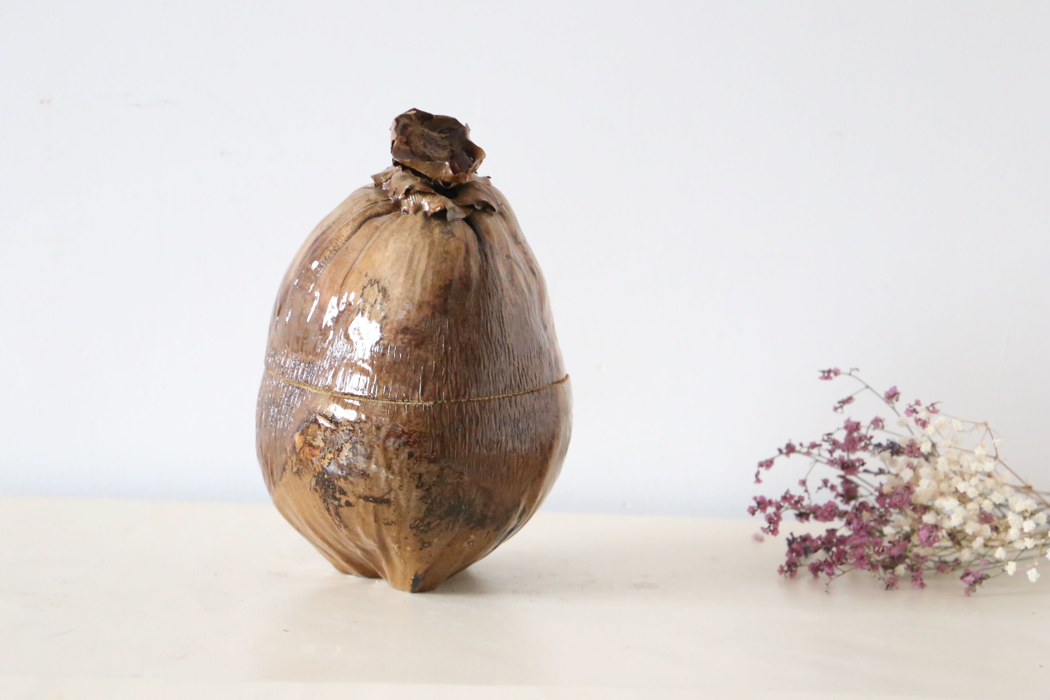 Ice bucket, or pretty coconut box, nature decoration, exotic