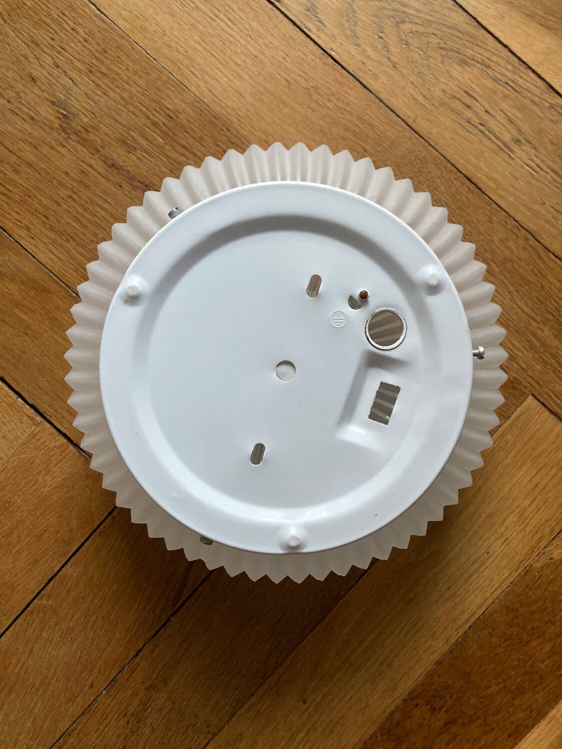 Molded glass flower wall light