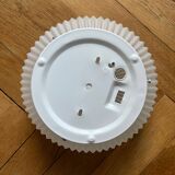 Molded glass flower wall light