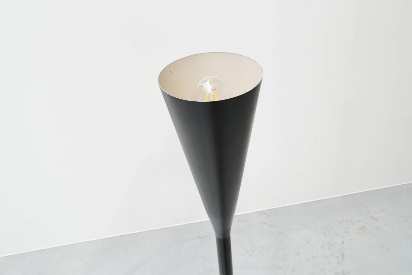 Angelo Lelii, Eye Floor Lamp for Arredoluce