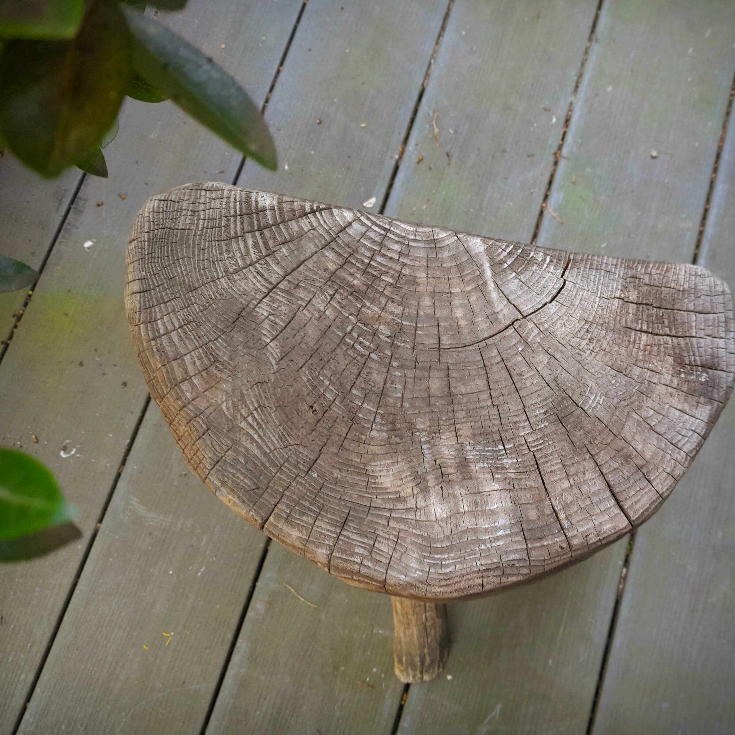 Pair of brutalist tripod stools in grayed pine. France, 1950s