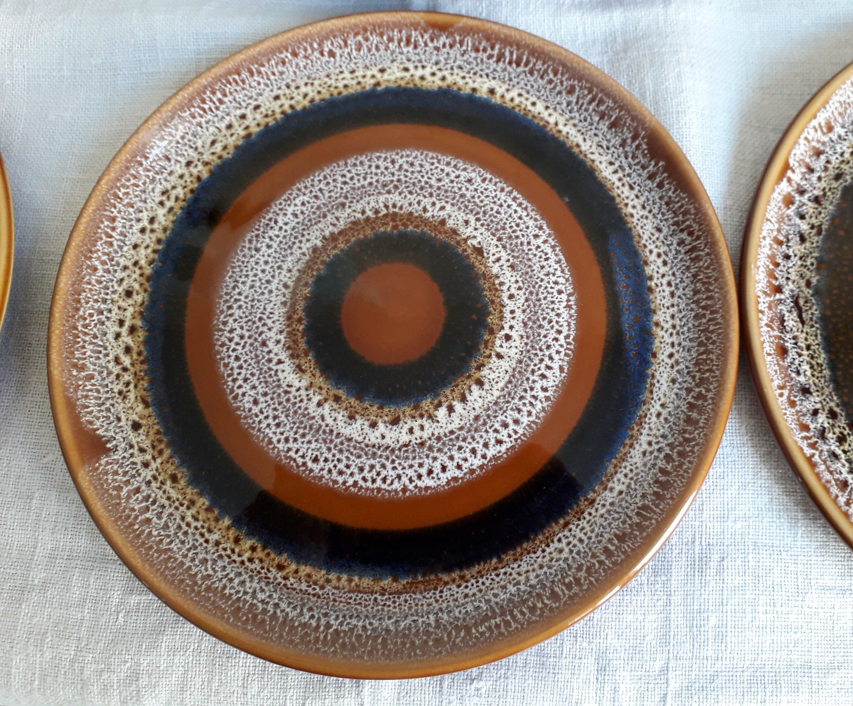 Plates Sarreguemines model "hawaii"