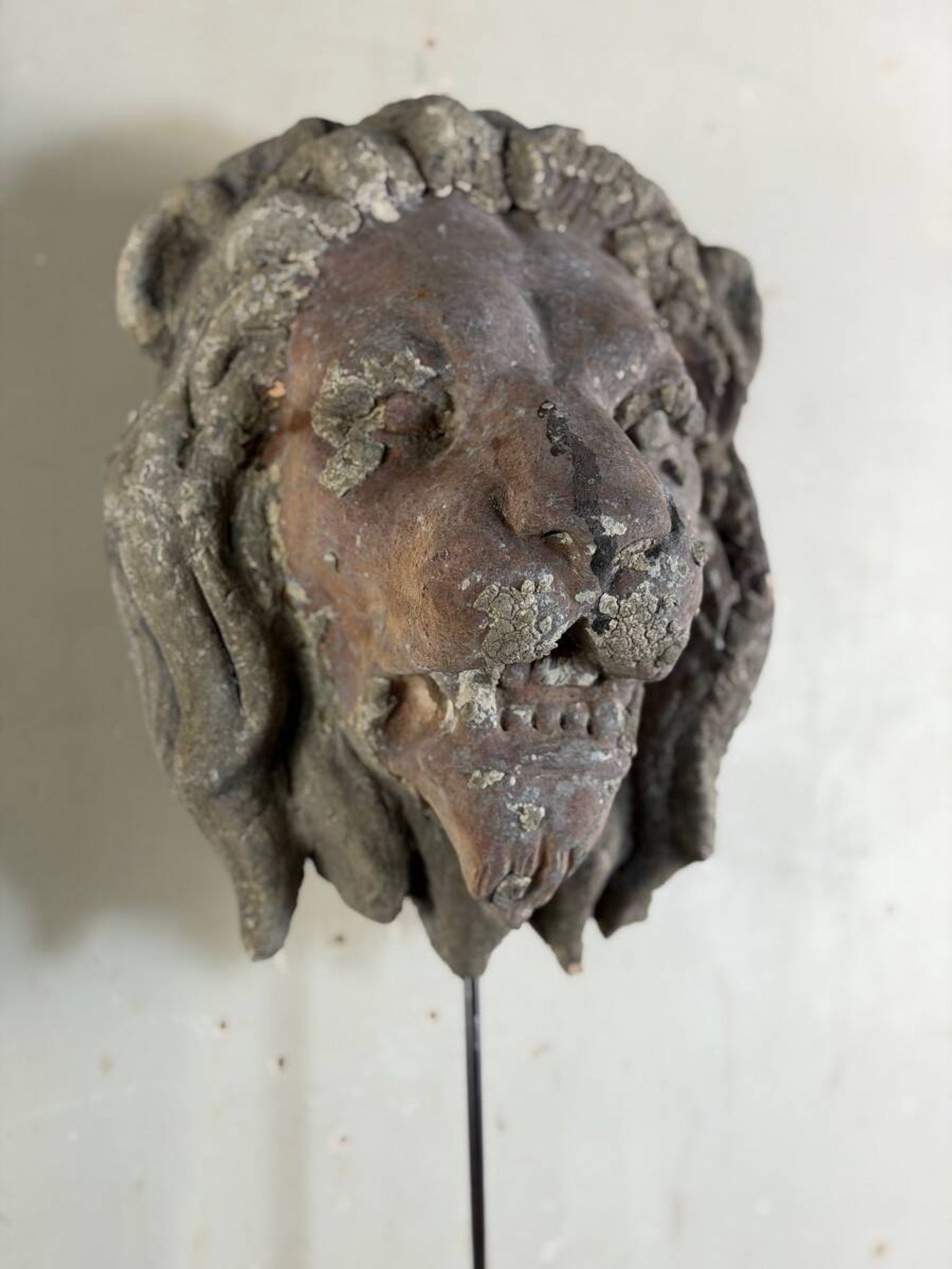 Sculpture en terre cuite, cache-boulin, élément de façade XIXème siècle
