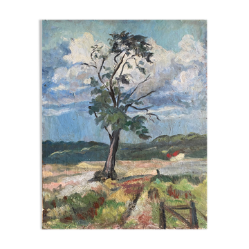 HSP painting "Landscape with tree and red house" - XX`°