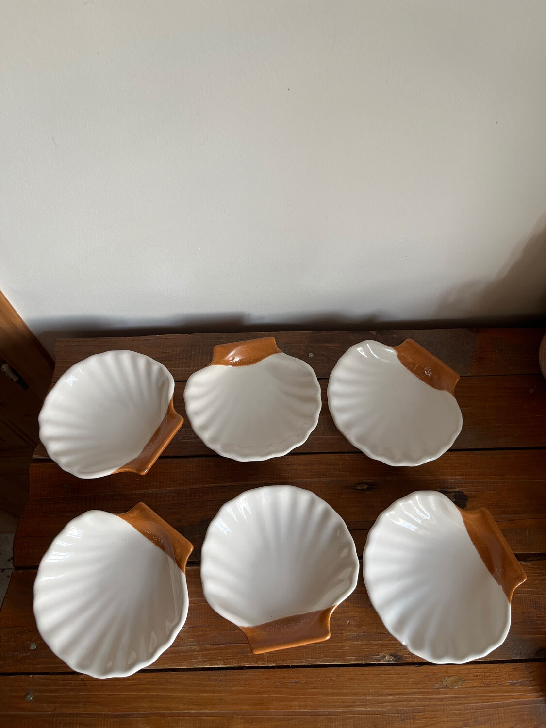 6 shell-shaped bowls