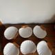 6 shell-shaped bowls
