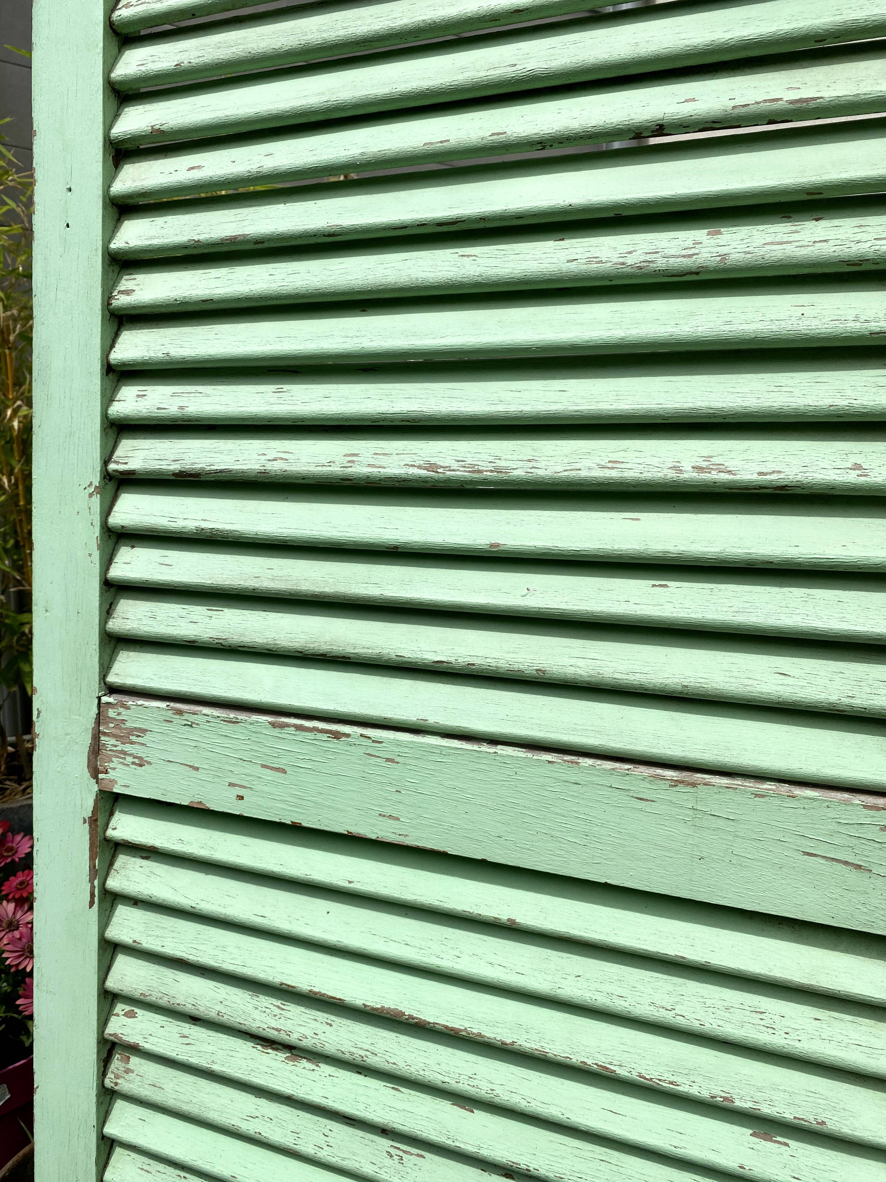 Ancient persian-coloured wood-wood mint