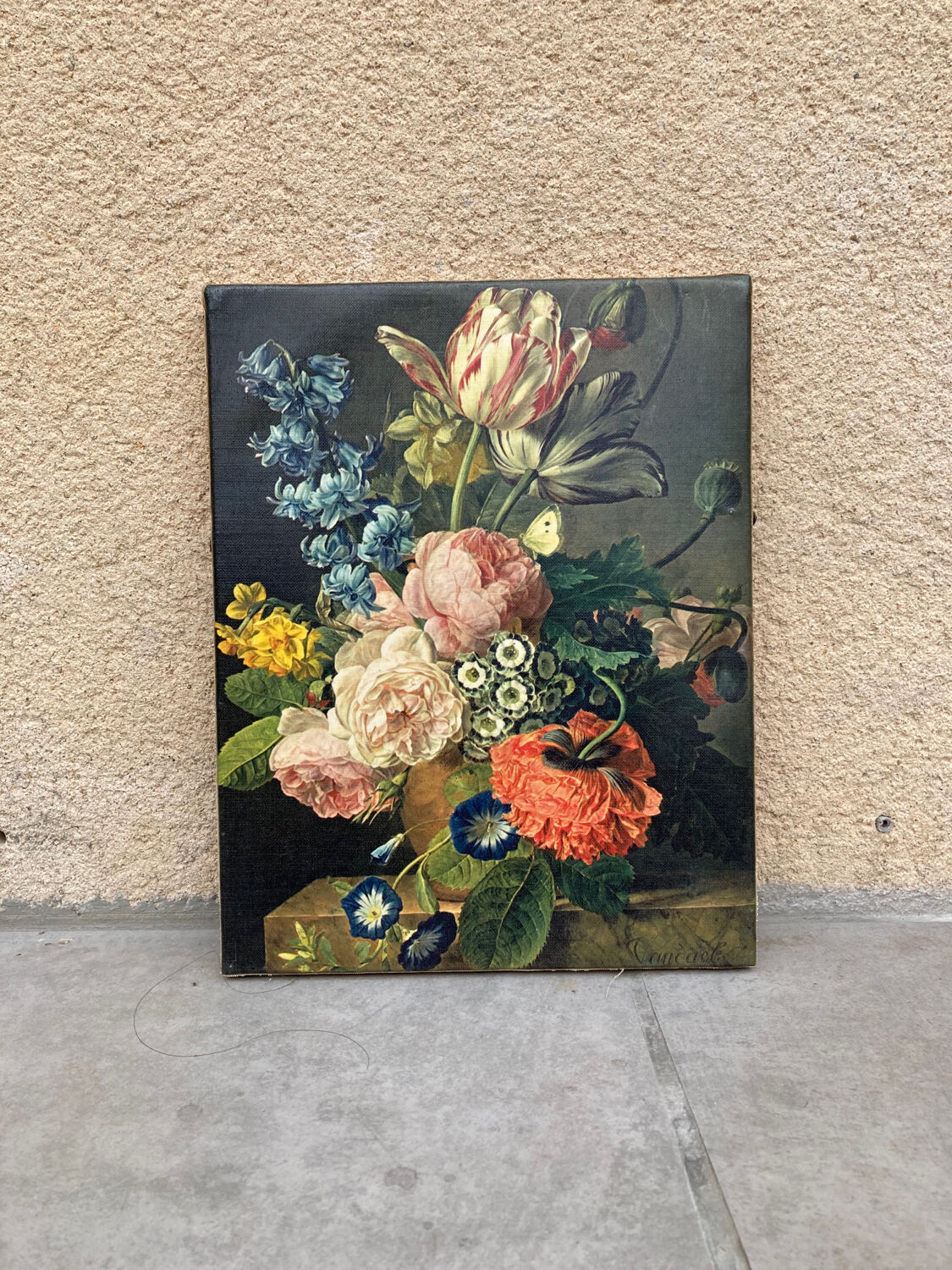 Cadre édition Braun et Cie roses tulipes et pavots