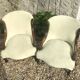 Pair of 19th century armchairs