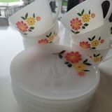 6 cups and 8 Arcopal sub-cups