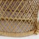 Double door wicker plant armchair