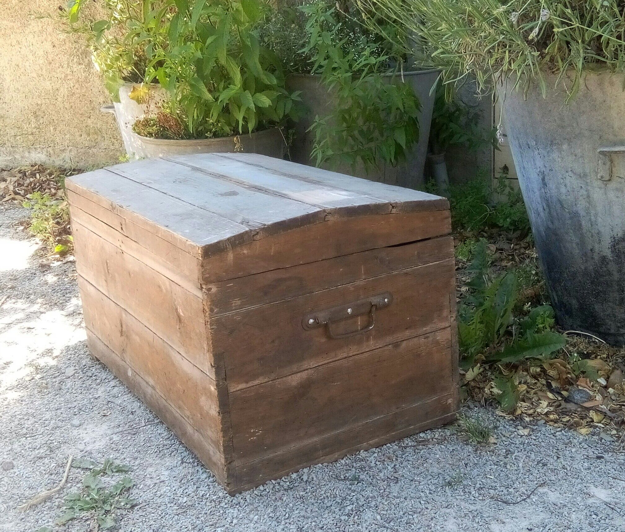 Wooden trunk