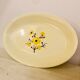 Long dish Salins
