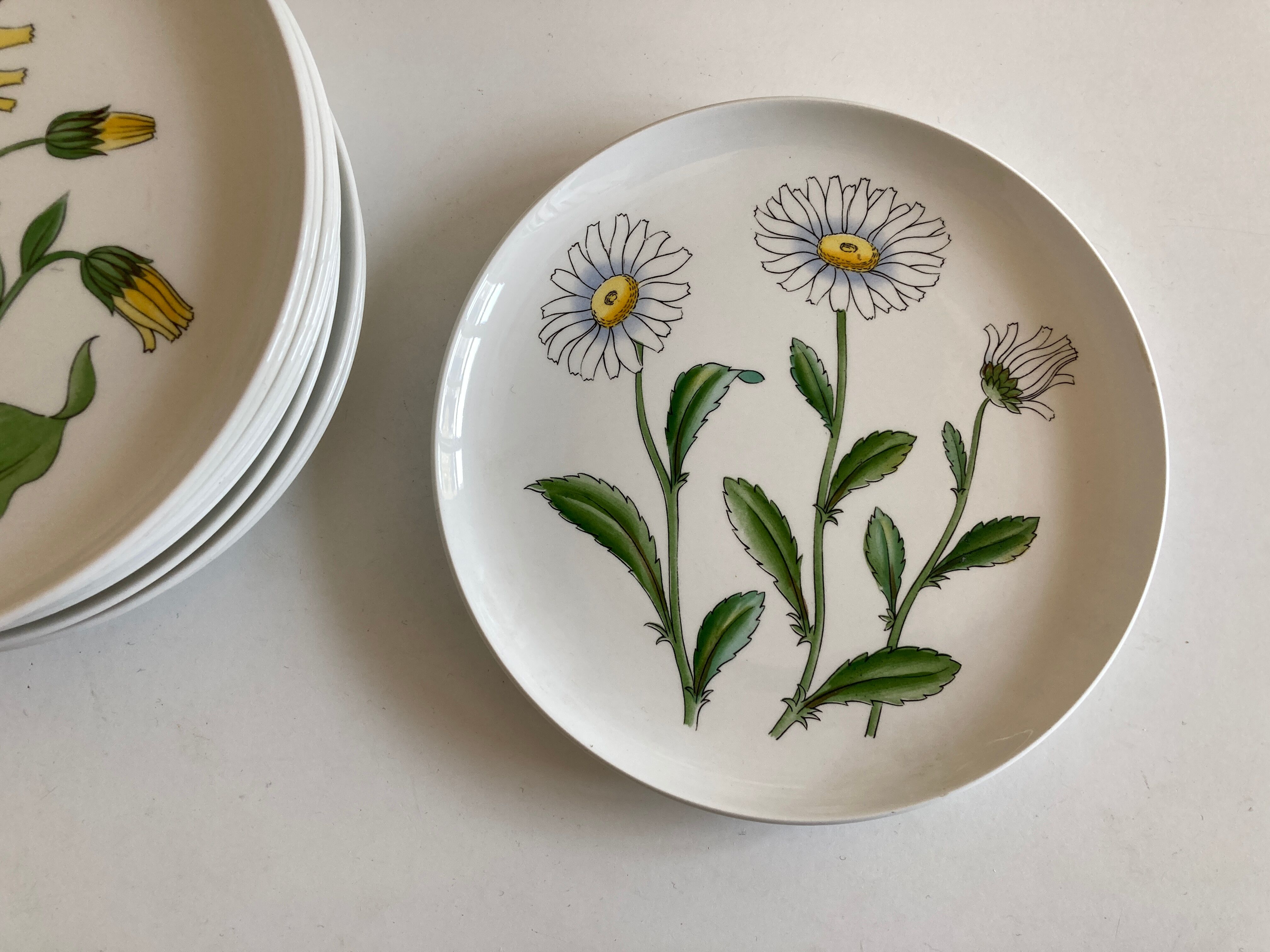 Set 11 assiettes fleurs Rorstrand Sweden Flora 1970