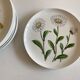 Set 11 assiettes fleurs Rorstrand Sweden Flora 1970
