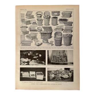Lithographie sur les paniers et emballages 1920