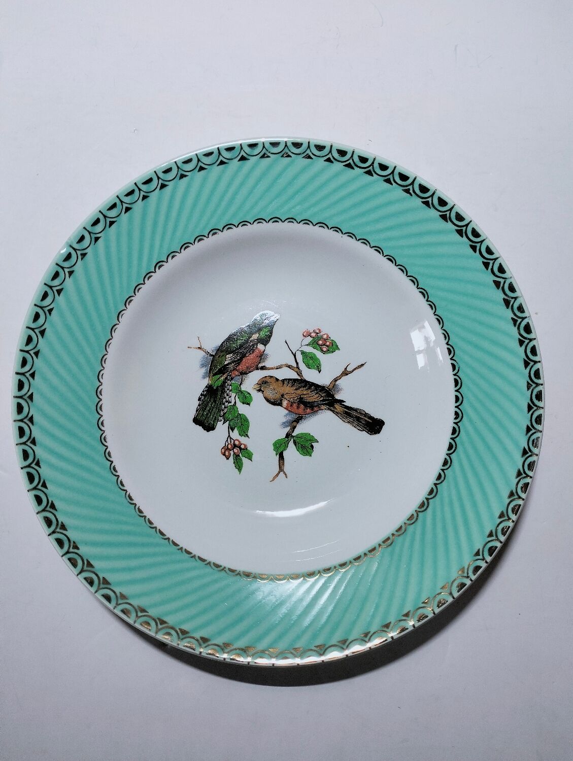 Lot de 6 assiettes oiseaux