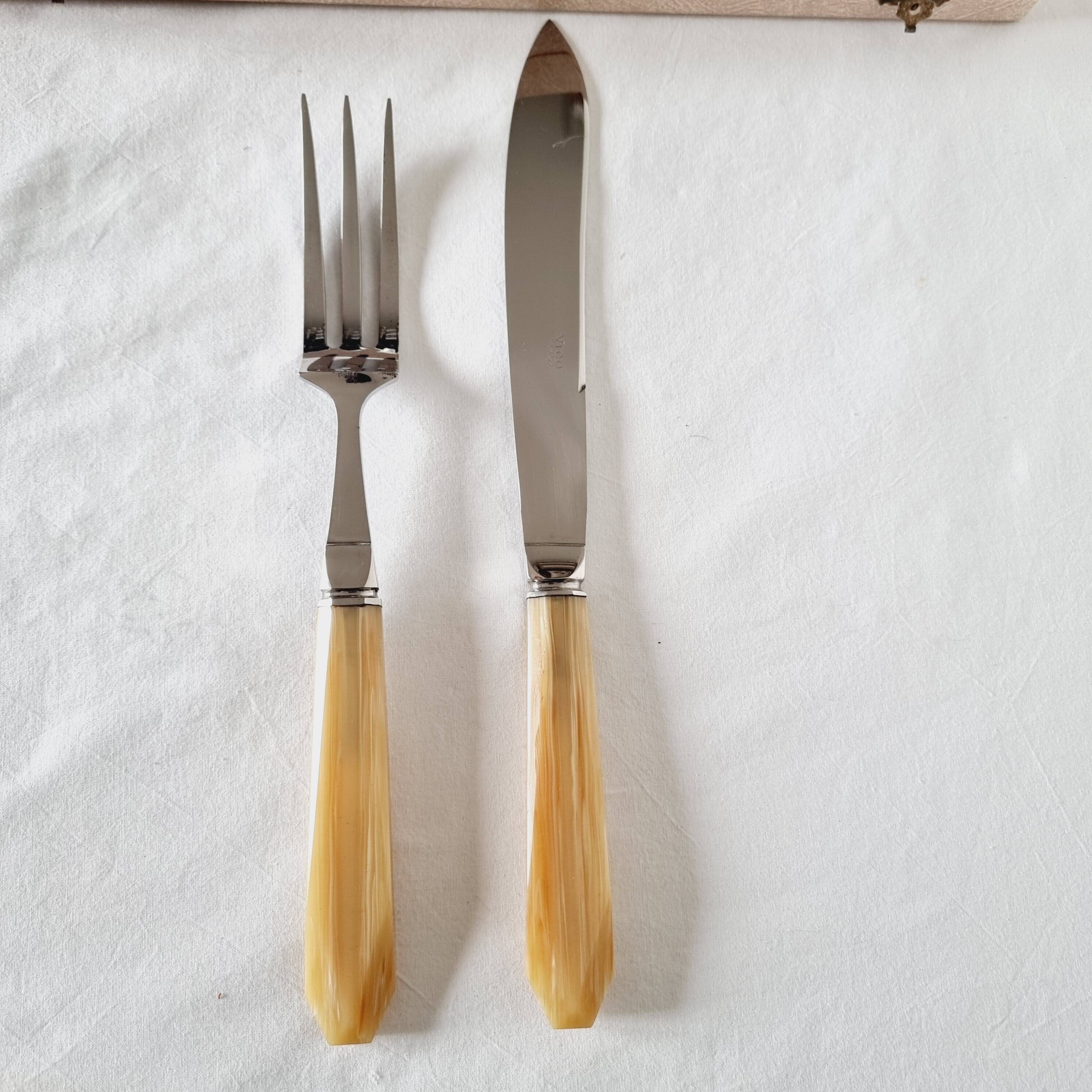 Case with cutlery for serving or cutting meat in baquelite