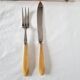 Case with cutlery for serving or cutting meat in baquelite