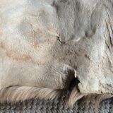 Goat skin