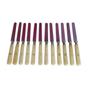 Lot de 12 couteaux à