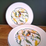 6 assiettes à dessert anciennes décor Toucan