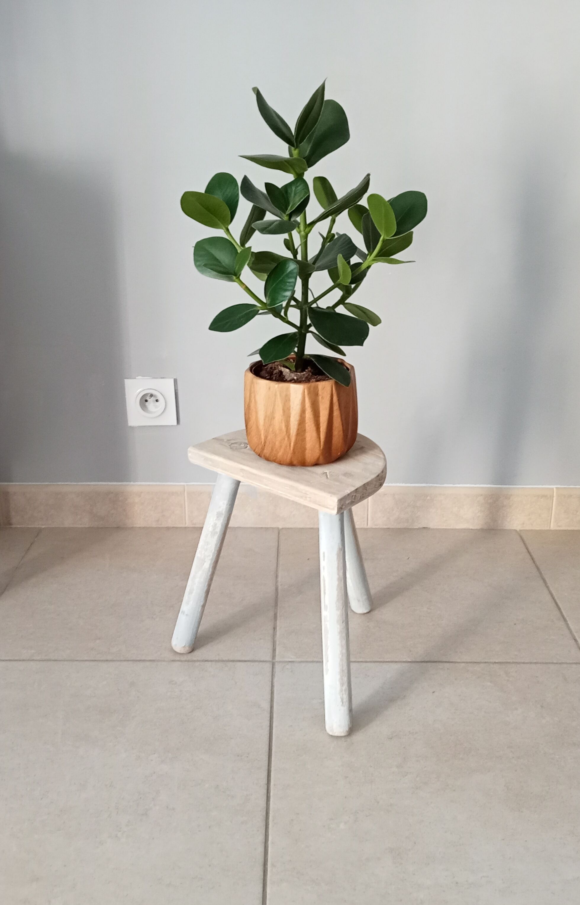 Ancient milking stool