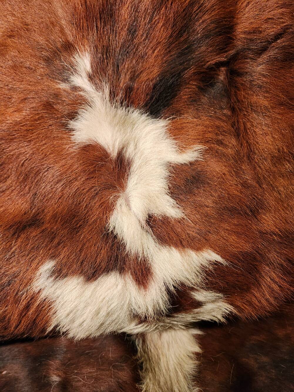 Very large and very beautiful genuine cowhide