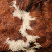 Very large and very beautiful genuine cowhide