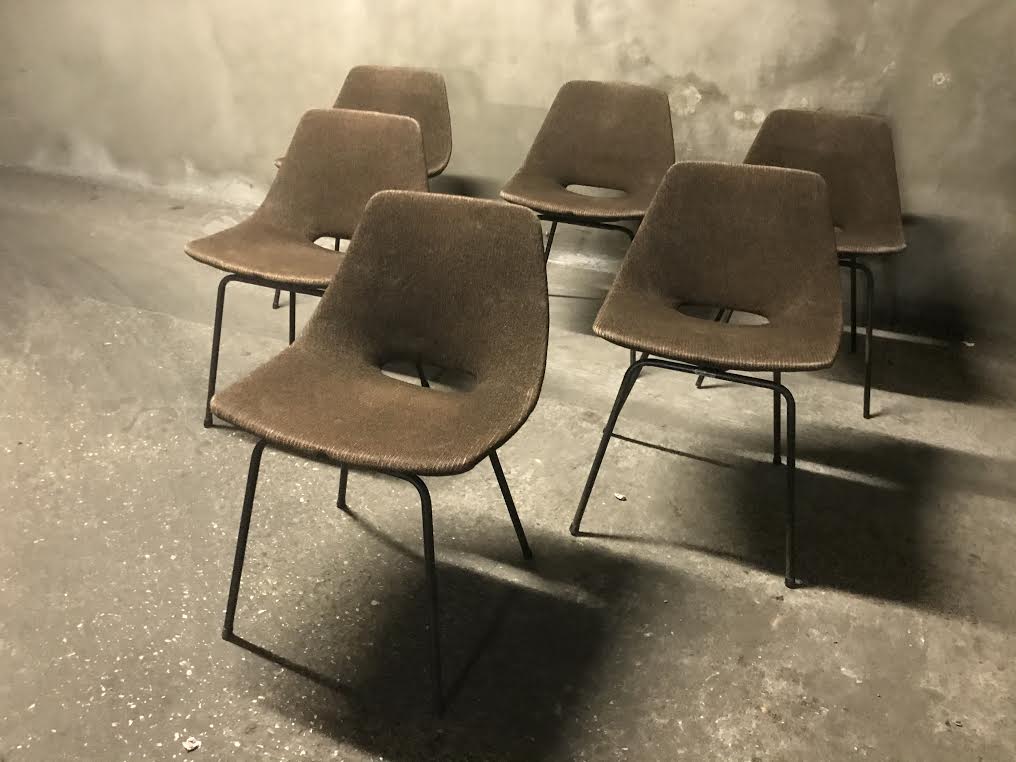 Set of 6 chairs "Tonneau" Pierre Guariche, Steiner Editions
