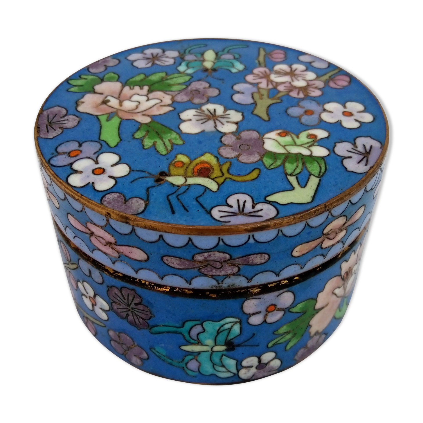 Box in partitioned enamels, china late 19th century
