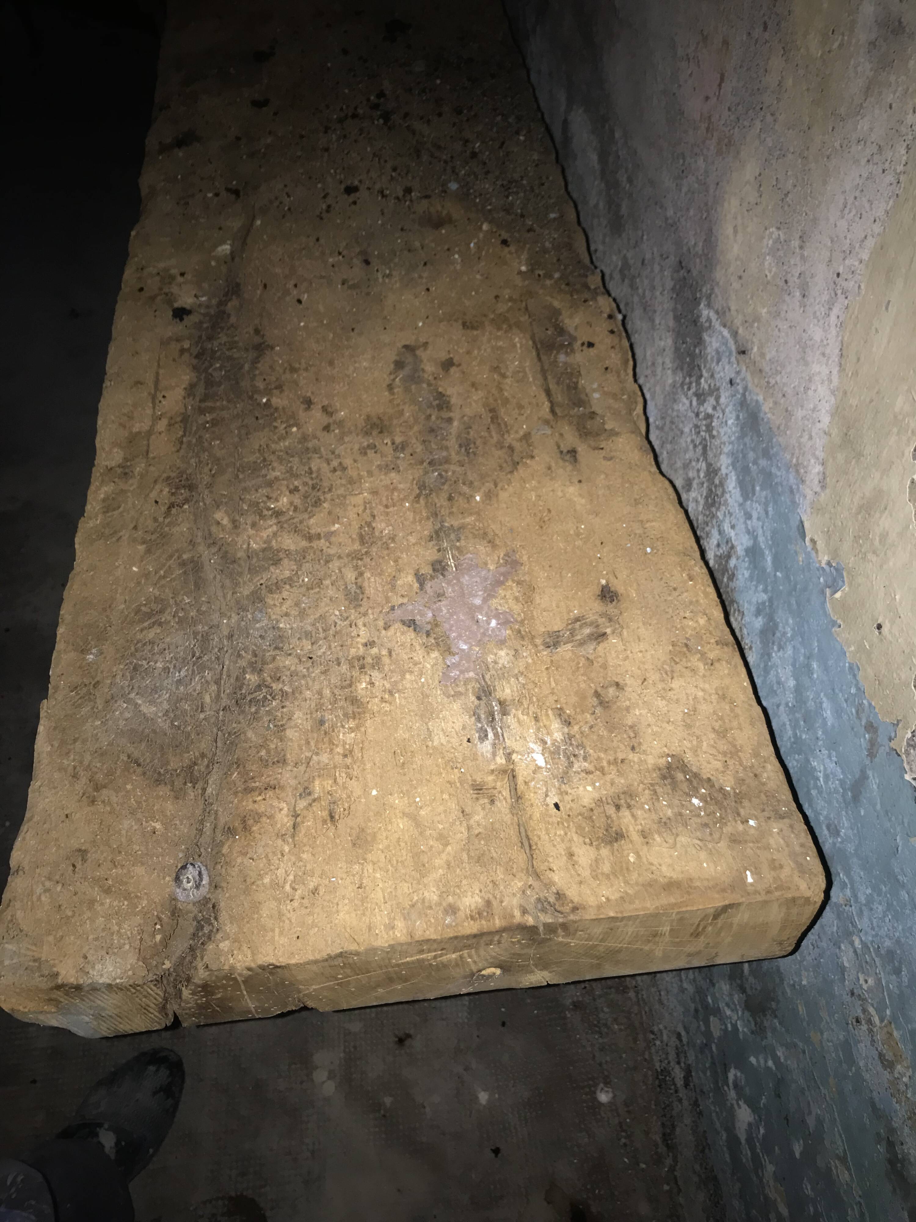 Carpenter's workbench